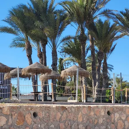 One Palm Tree, Costa Διαμέρισμα