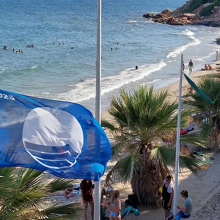 One Palm Tree, Costa * Οριουέλα