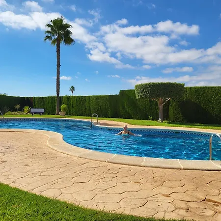 One Palm Tree, Costa Orihuela