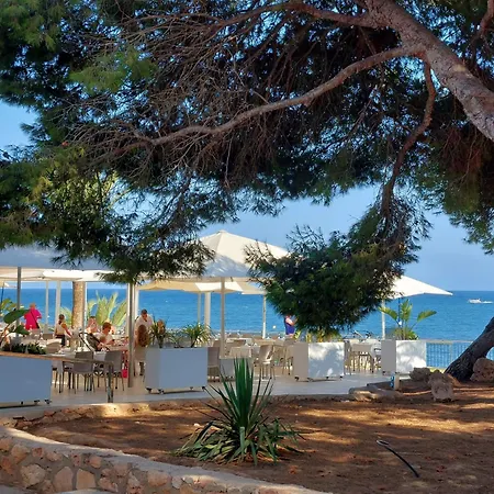 One Palm Tree, Costa * Orihuela