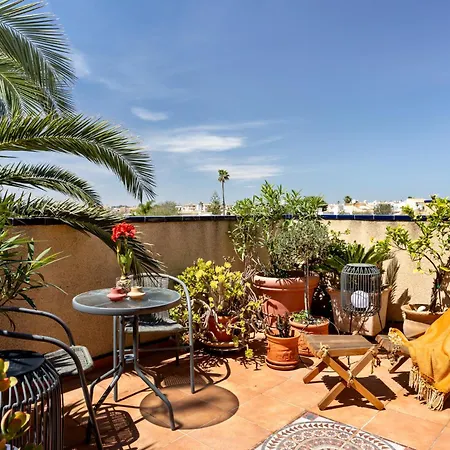 Apartman One Palm Tree, Costa